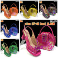 Bag and Shoe set