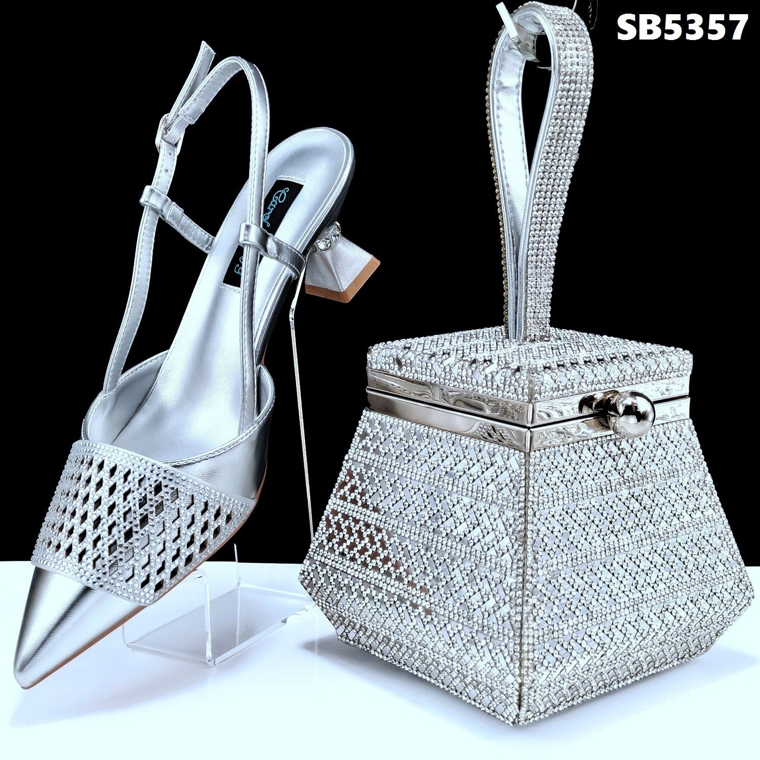 Shoe and Bag set 4